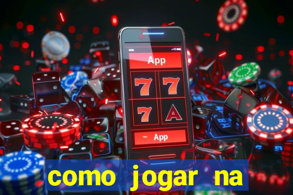 como jogar na lotinha do jogo do bicho